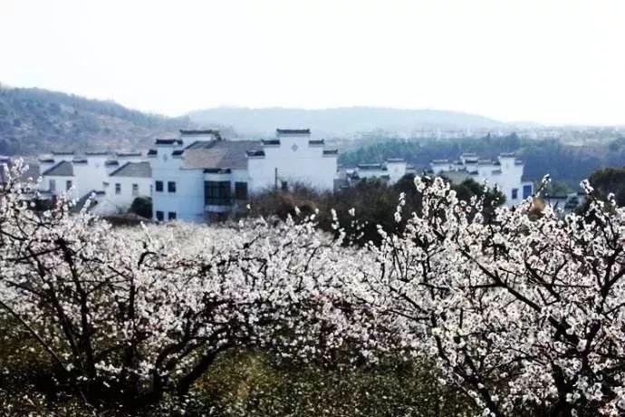 死神境界大冒险