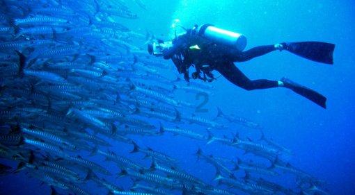 广西民族医院伤口造口护理小组顺利举办学术沙龙活动
